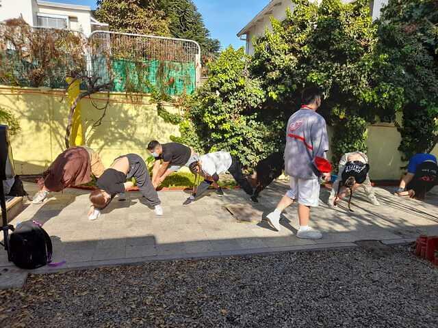 273e4b56-0d18-48b8-a300-a41967c155fa