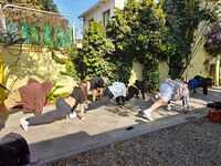 eb41a343-17ca-4652-a5ef-60006da3004b